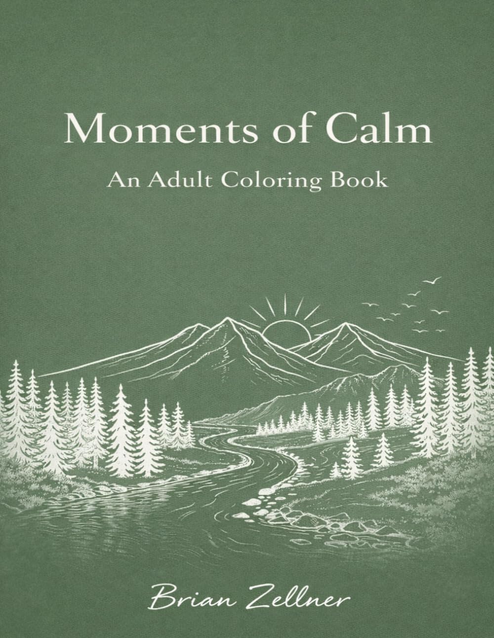 Moments of Calm: An Adult Coloring Book: 50 Relaxing Scenes to Help You Slow Down, Reduce Stress, and Find Calm