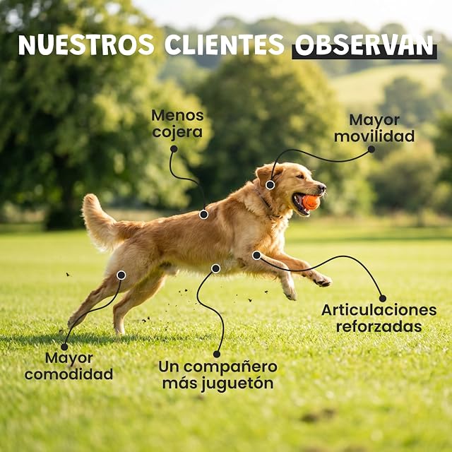 Foto 4 de 8 de Museau & Co Harpagophytum para Perros y Gatos - 100gr