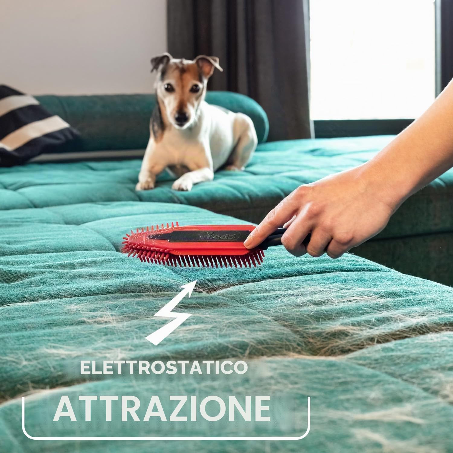 Vileda Pet Pro, set completo, scatola con scopa Always Clean, spazzola elettrostatica per tappezzeria e asciugamano in microfibra XL, pulizia peli di animali domestici, asciugare per qualsiasi