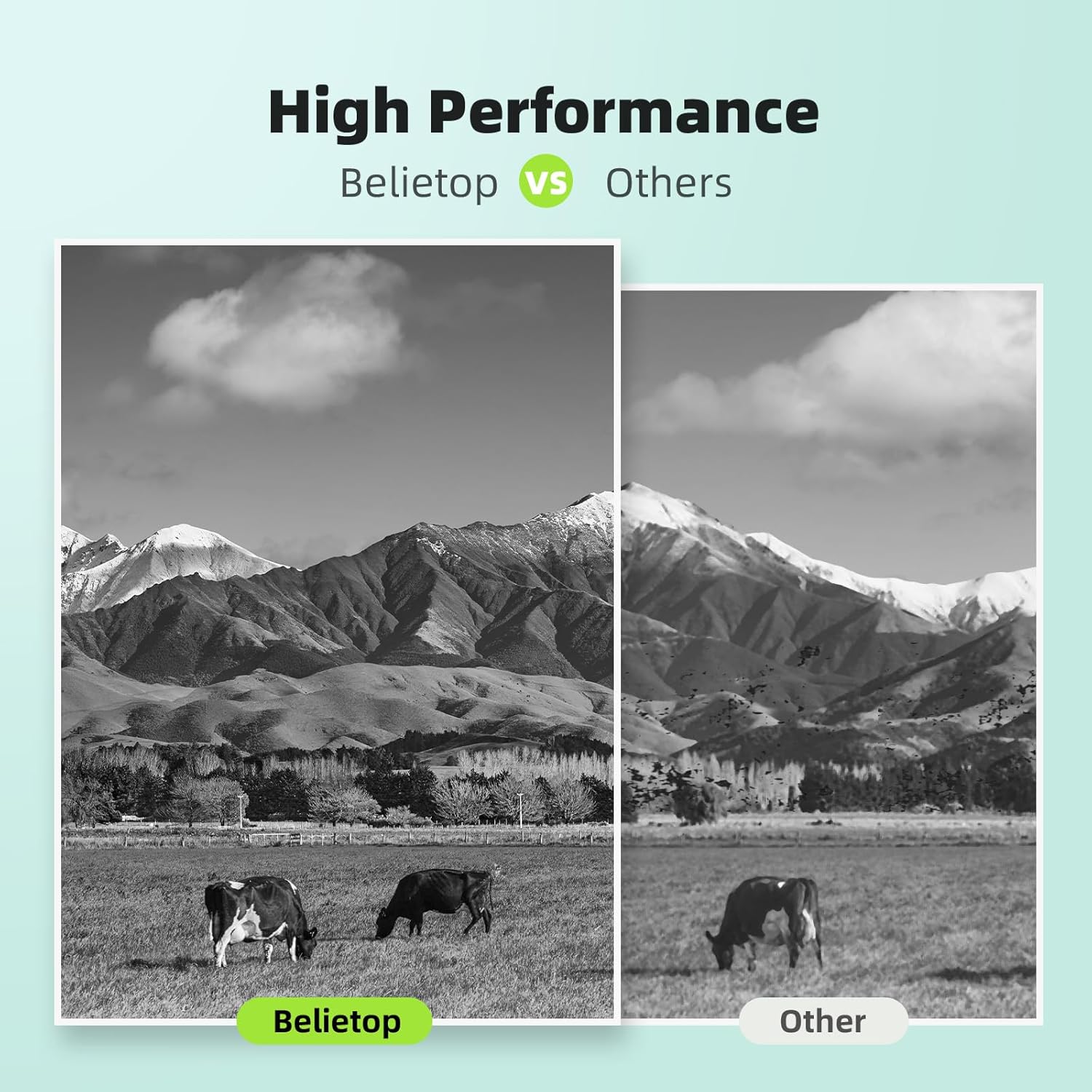 910XL Ink Cartridges Replacement for HP 910XL 910 XL Ink Cartridges for OfficeJet Pro 8015e 8025e 8022e 8028e 8035e 8020 8035 8028 8025 Printer (2 Pack, Black)