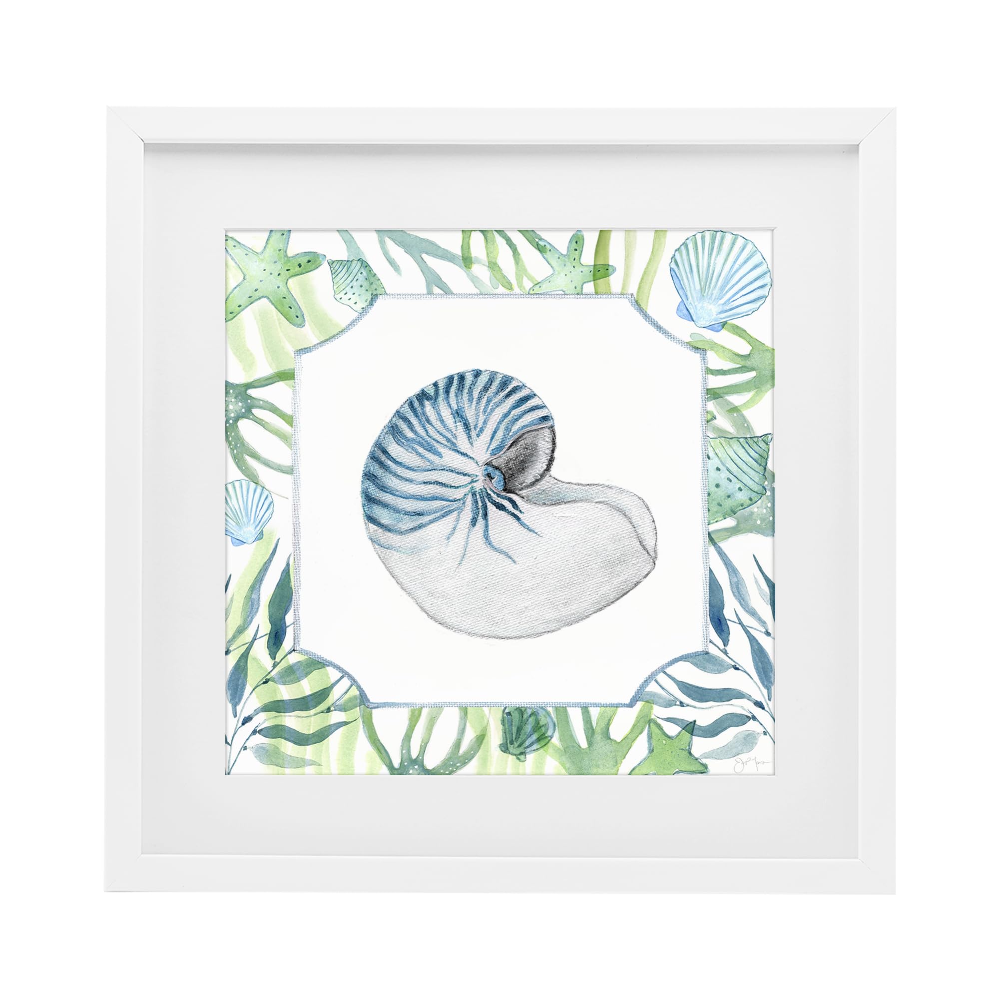 Stupell Industries 'Seaweed & Seashells Aquatic', Framed Print Under Glass, White, 16 x 16 Inches, Easy to Hang and Sturdy, Made in USA, by Janet Tava