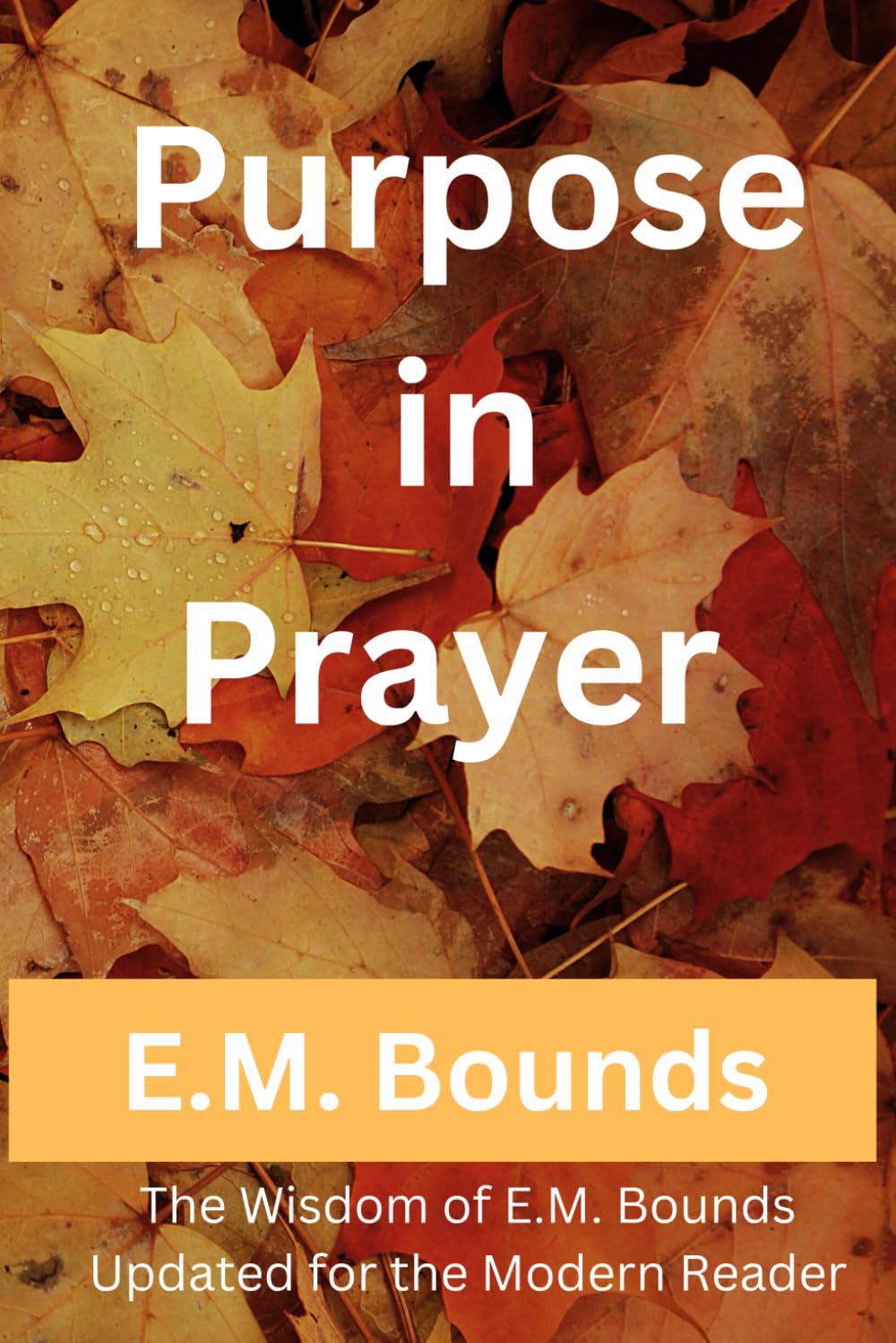 Purpose in Prayer: The Wisdom of E.M. Bounds Updated for the Modern Reader