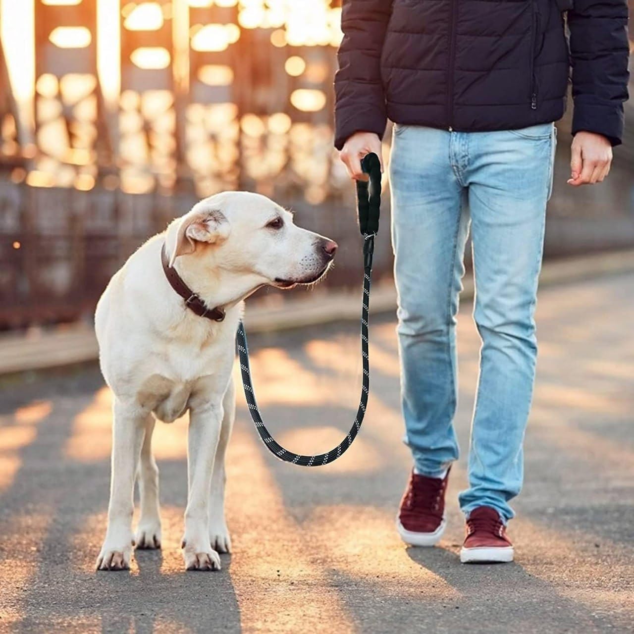 KANISYA Dog Training Leash Belt for 4FT Nylon Rope Cord Pet Walking Leashes for Small and Medium Sized Pet Thick Reflective Heavy Duty Rope with Anti Slip Padded Cord for Cats Pets with Strong Hook 2