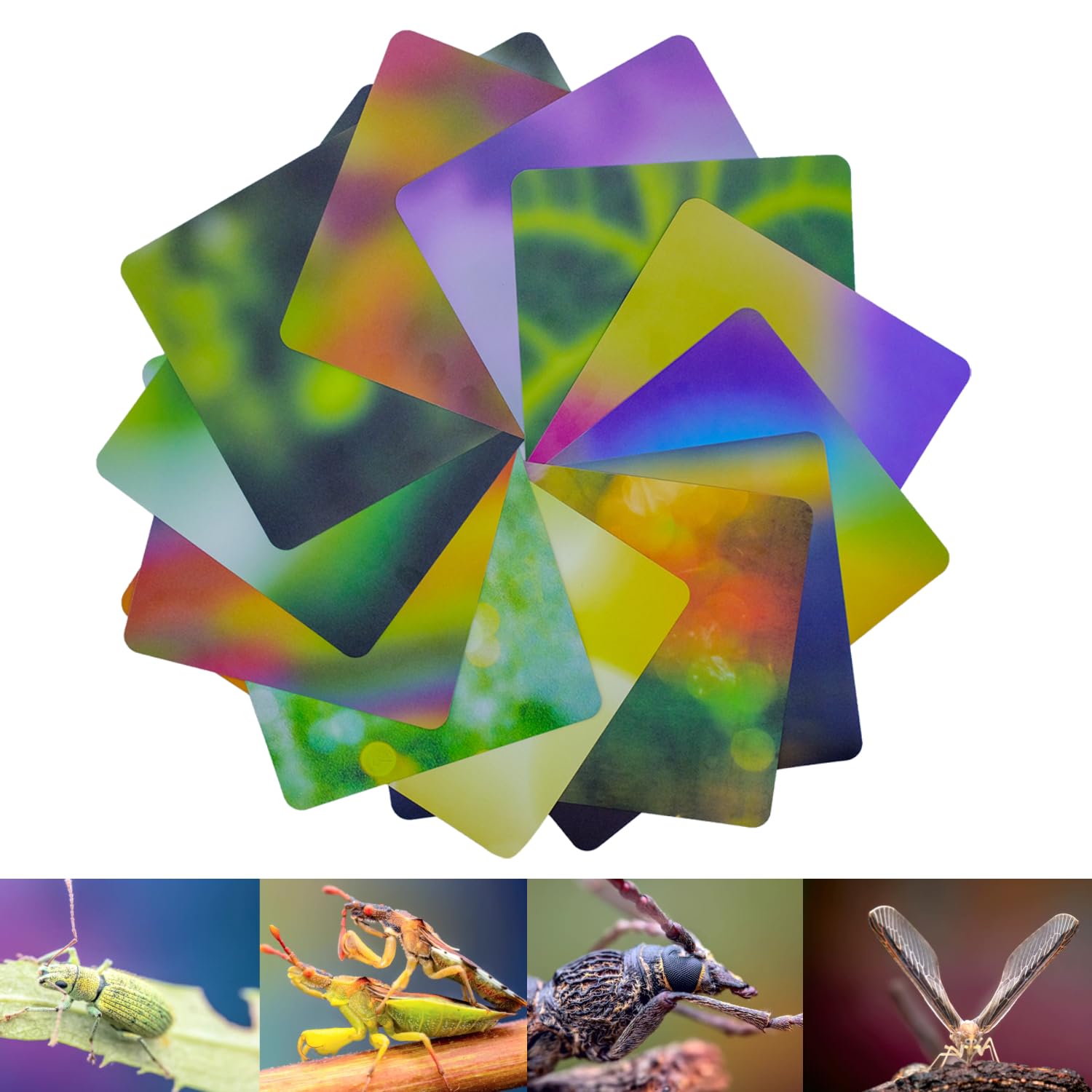 Lot de 12 cartes de fond pour photographie macro, 24 couleurs (21 x 15 cm), matériau absorbant la lumière, fond flou écologique pour macro photographie (tailles A5N, 12 pièces, 24 couleurs)