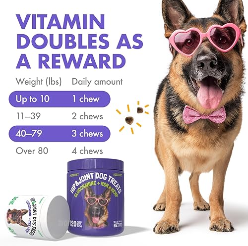 Miniatura 4 de Suplemento de cáñamo para cadera y articulaciones para perros, 120 masticables suaves hechos en Estados Unidos, glucosamina funcional para perros,