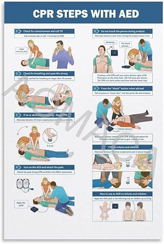 RCIDOS Póster de conocimiento de primeros auxilios, RCP y AED, guía de pasos de primeros auxilios, pósteres e impresiones artísticas de pintura en