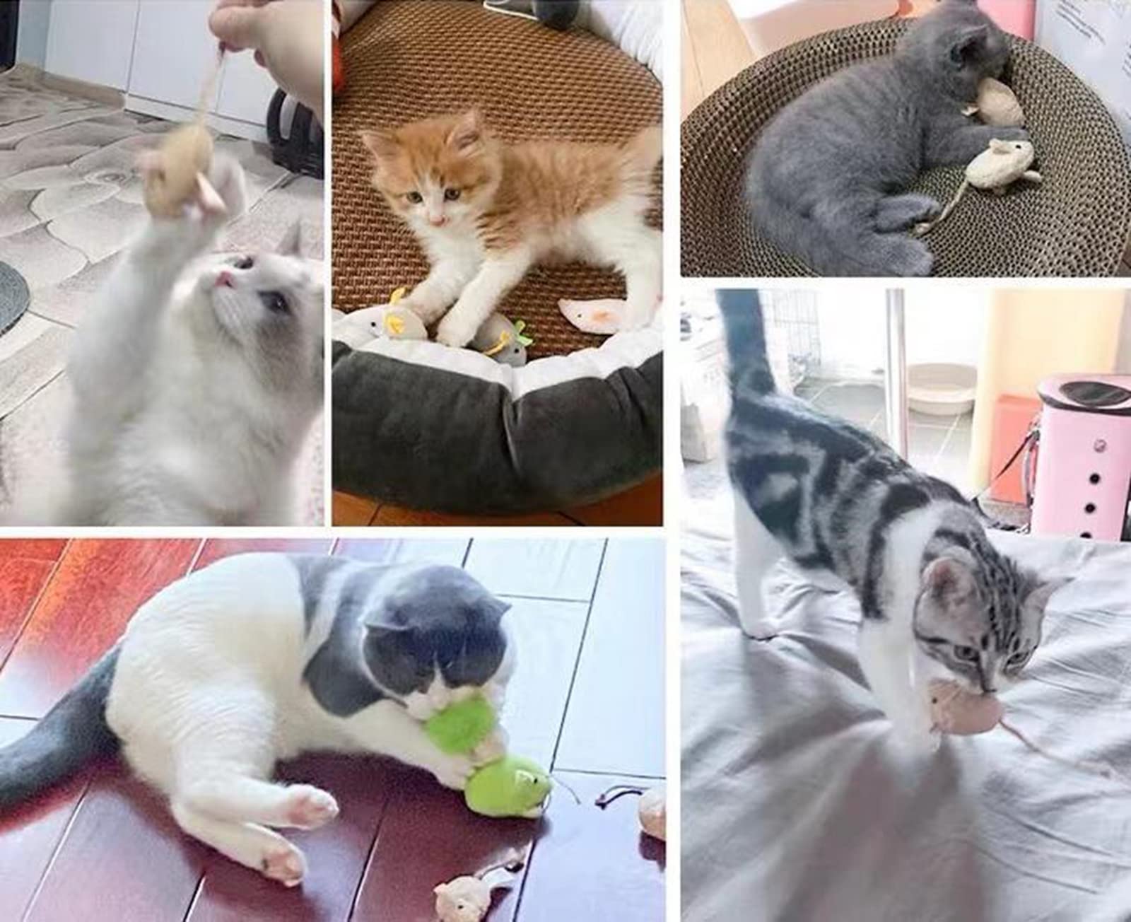ISMARTEN Katzenminze Spielzeug, Katzen Maus Plüsch Katzenspielzeug, Katzenmäuse & Tiere Spielzeug für Indoor Katzen und Kätzchen, Katze Kauspielzeug für Übung für Haustier Katze Kätzchen Kitty (6