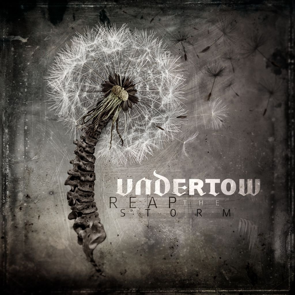 Reap The Storm [VINYL]