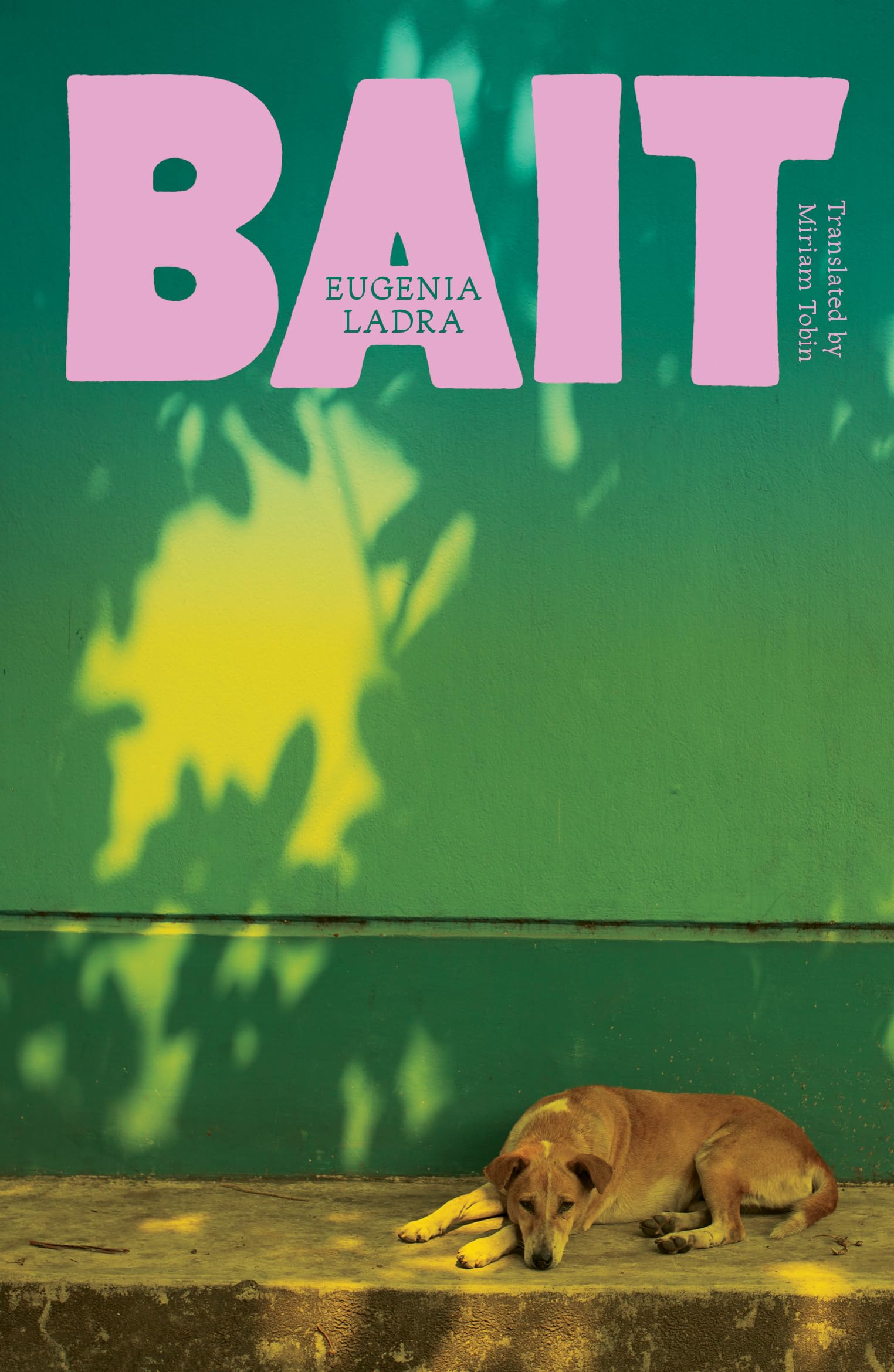 Bait by Eugenia Ladra, Miriam Tobin - 9781917092661
