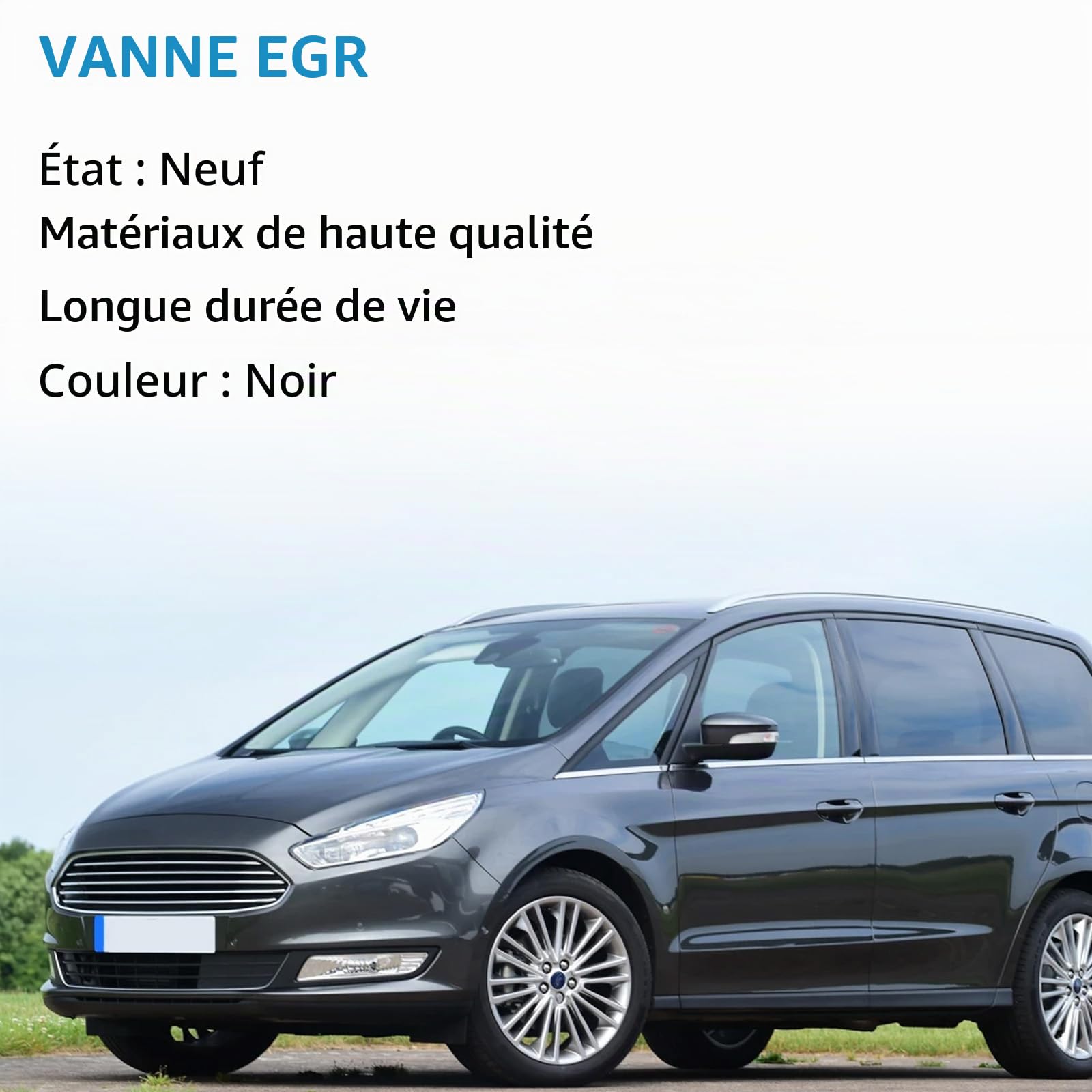 EGR Cooler 2.0HDI 9807593080 9801705280 1861749 2267338 DS7Q9D475DA DS7Q9D475DB 717720158 Refroidisseur à gaz électrique Mint Cooler pour C4 C5 Mondeo