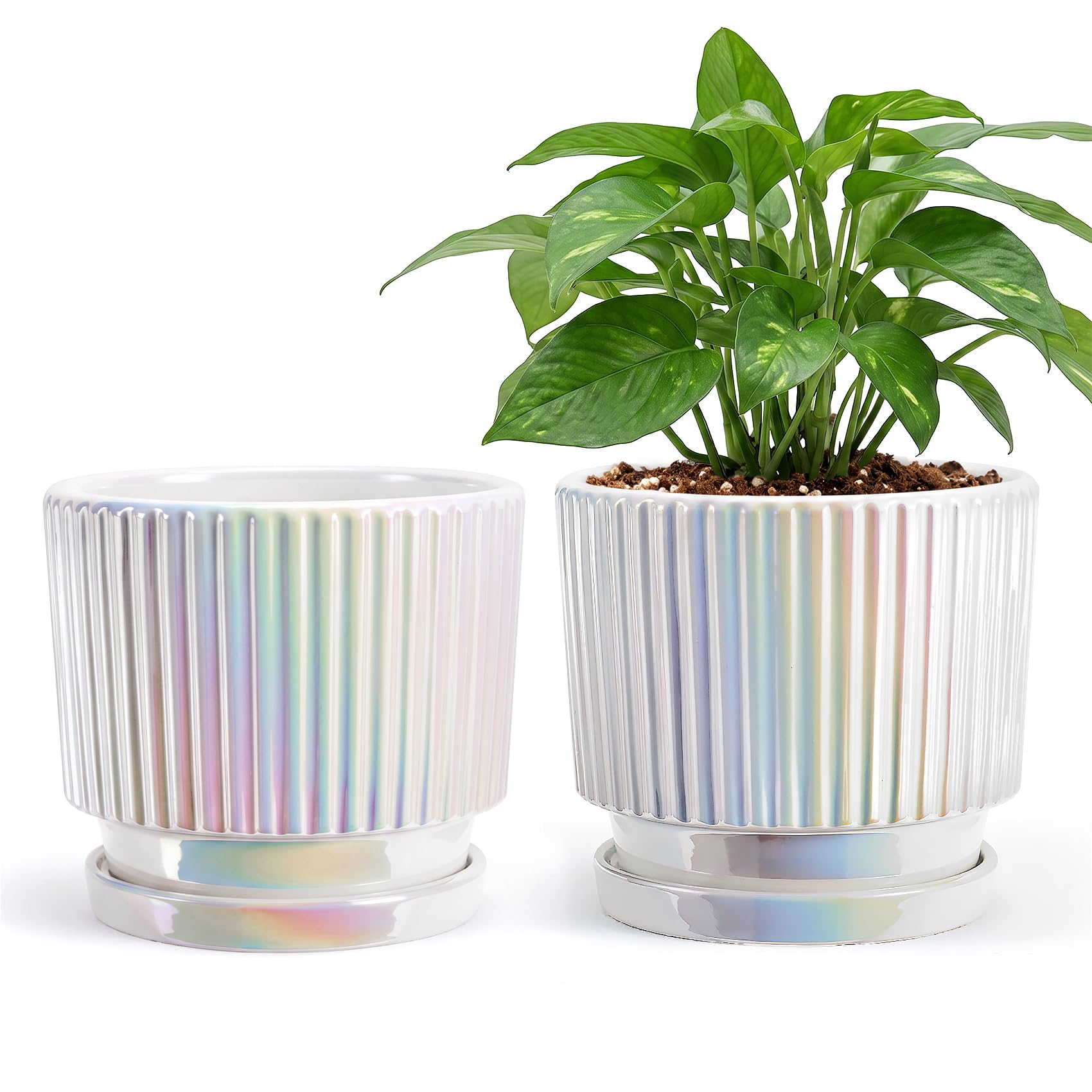Lot de 2 pots de fleurs en céramique avec trous de drainage et soucoupe