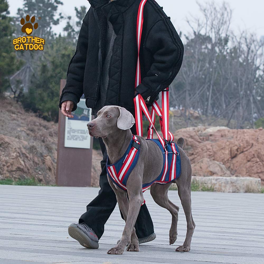 XTrador Dog Harness Carrying Aid for Dogs Especially for Hip Problems Carrying Strap for Injured Older or Restrictive Dogs Rehabilitation Safety Walking Aid (M) - Image 3
