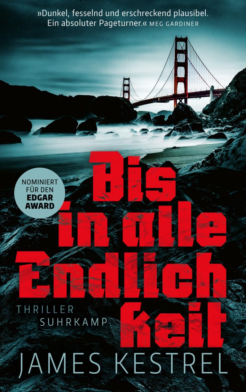 Bis in alle Endlichkeit: Thriller