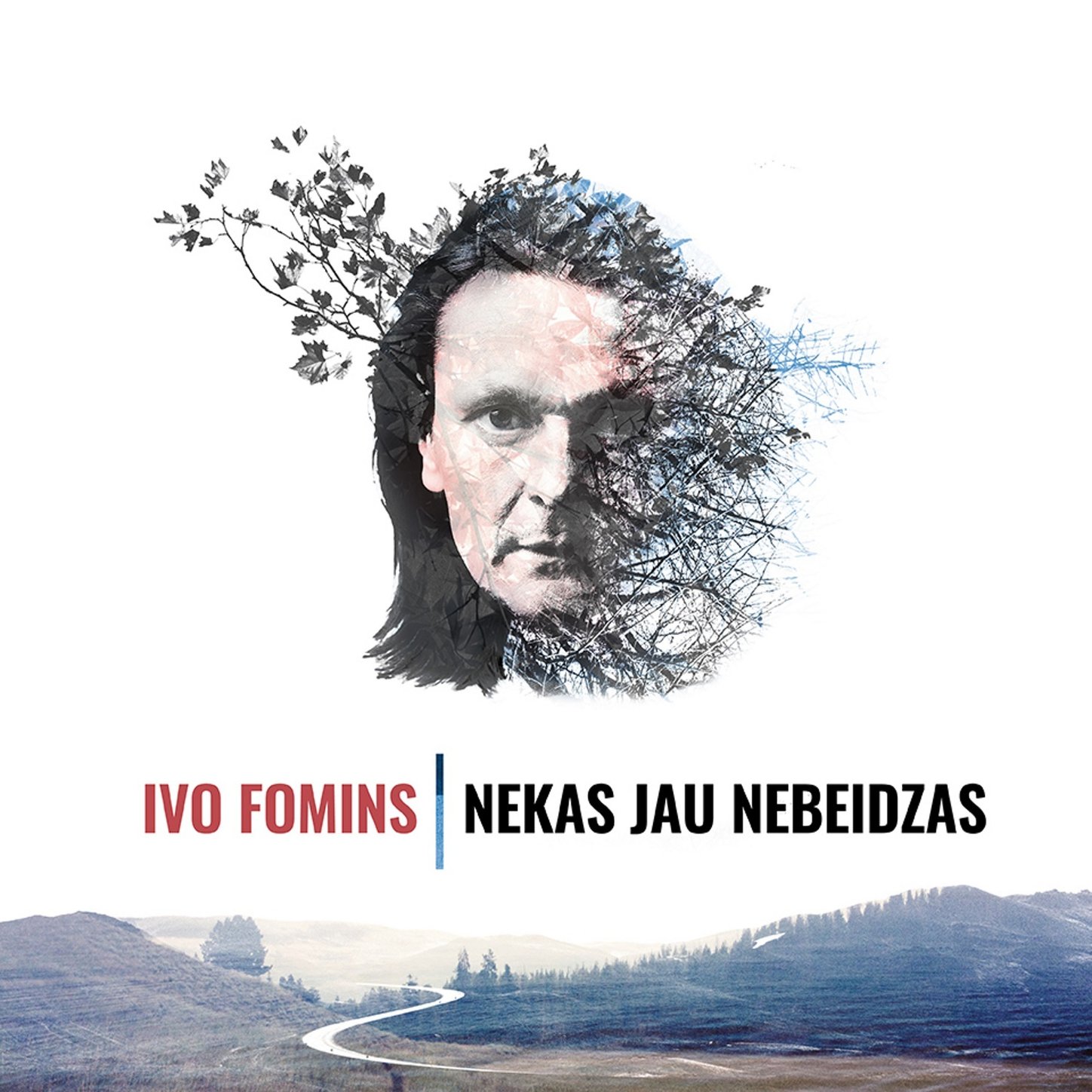Ivo Fomins