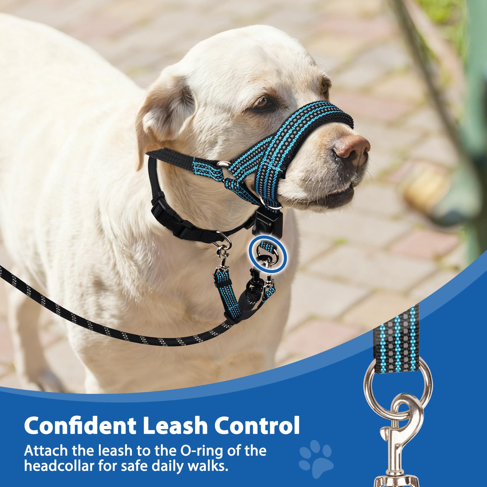 BARKLESS No Pull Dog Head Collar for Gentle Training Walking, Soft Padded Head Halter with Collar Safety Clip, Comfortable Fit Muzzle Leash with Reflective Strap for Medium Large Dog (Blue, L) - image 8