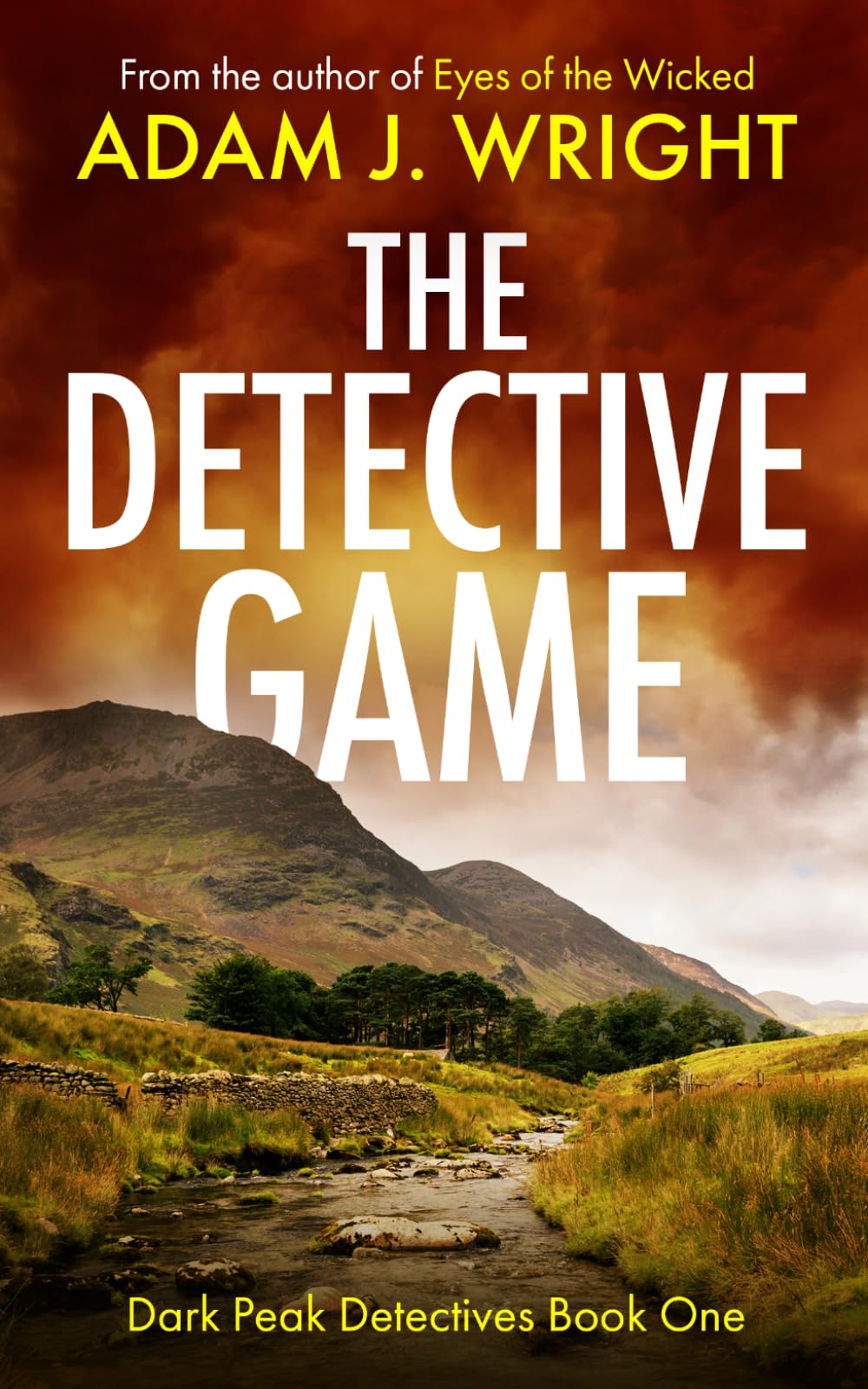 The Detective Game (Dark Peak Detectives)