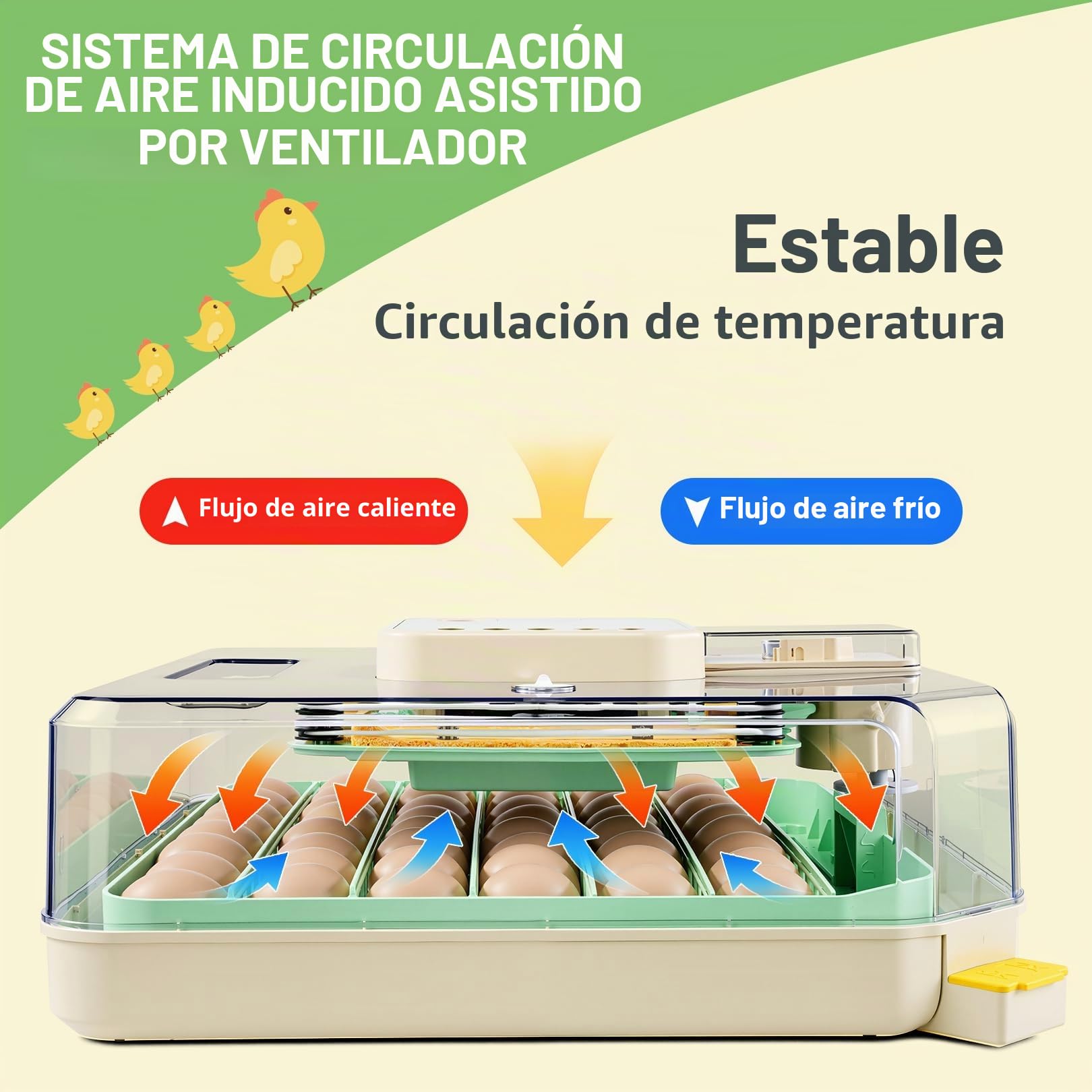 Sailnovo Incubadora de Huevos Automática 48 Huevos con Control Preciso Temperatura/Humedad, Volteador Automático de Huevos, Vista 360°, Ovoscopio Para Huevos, Para Gallina/Pato/Codorniz,Verde
