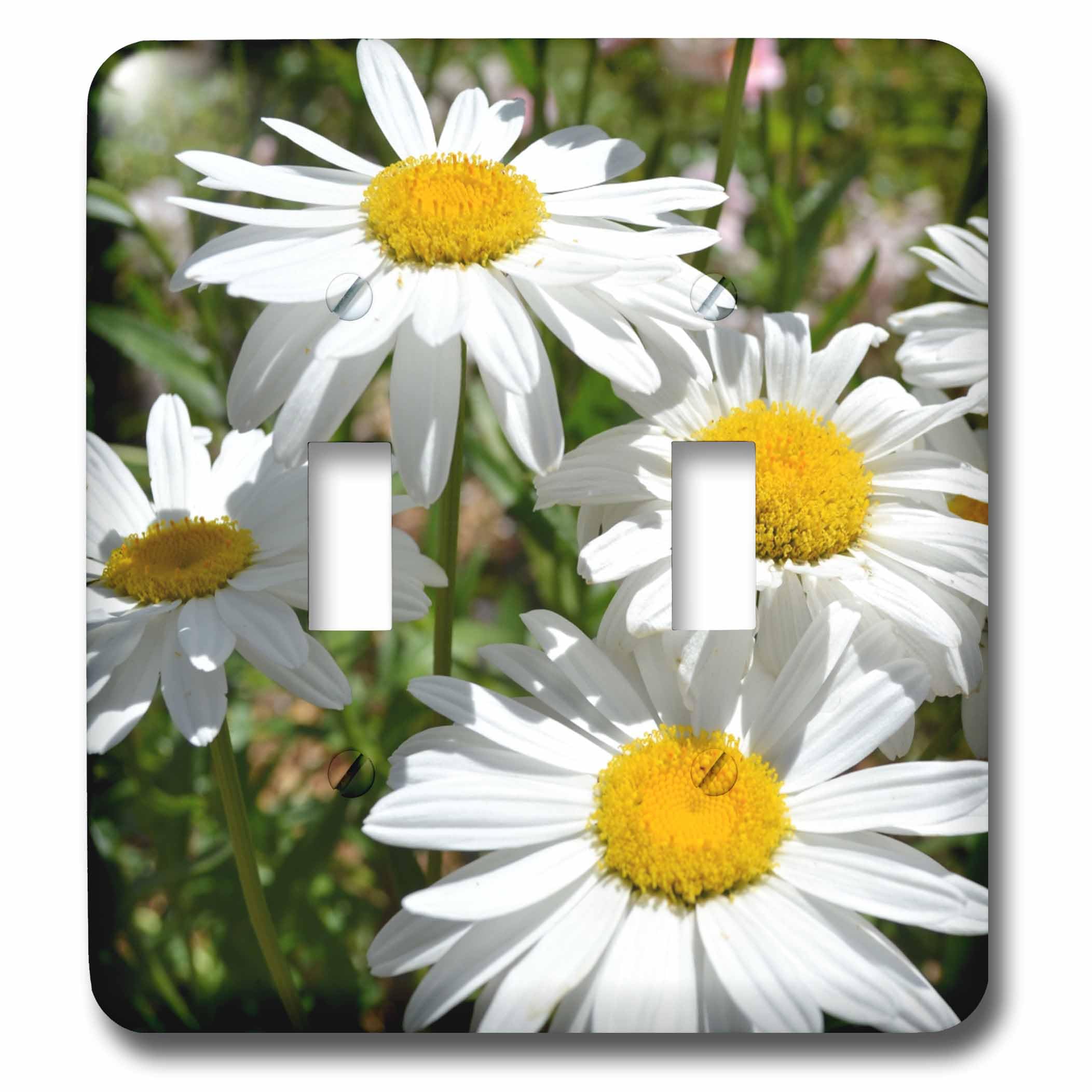 Interrupteur marguerite blanche 3dRose pour une déco de salon nature