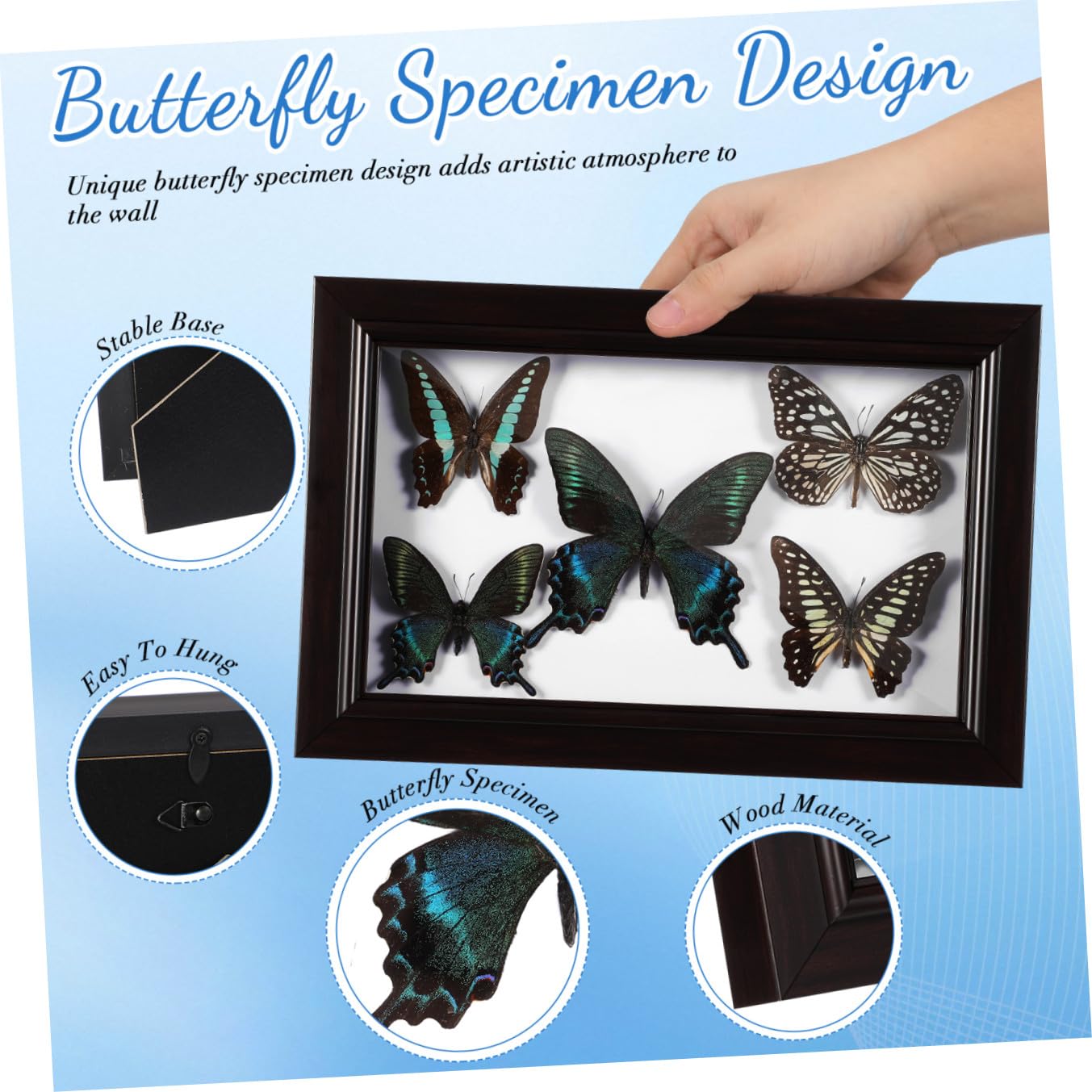 Marco de Exhibición de Mariposas Tapa Transparente y Madera Resistente, Decoración de Pared Hogar y Obsequio para Coleccionistas