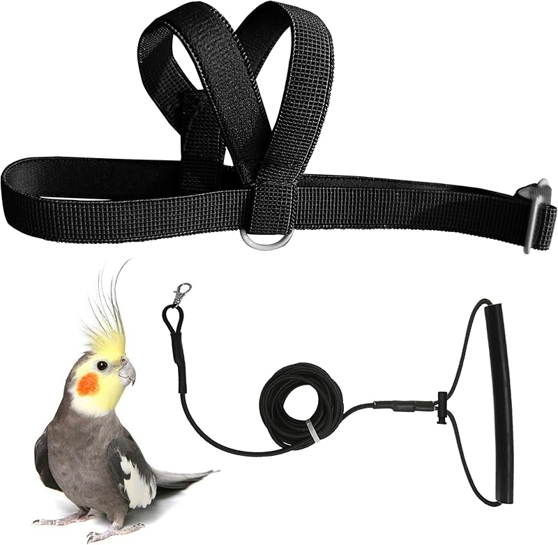 Peitoral Ajustável para Aves VANFAVORI com Guia de 2 m, Tamanho S, Black