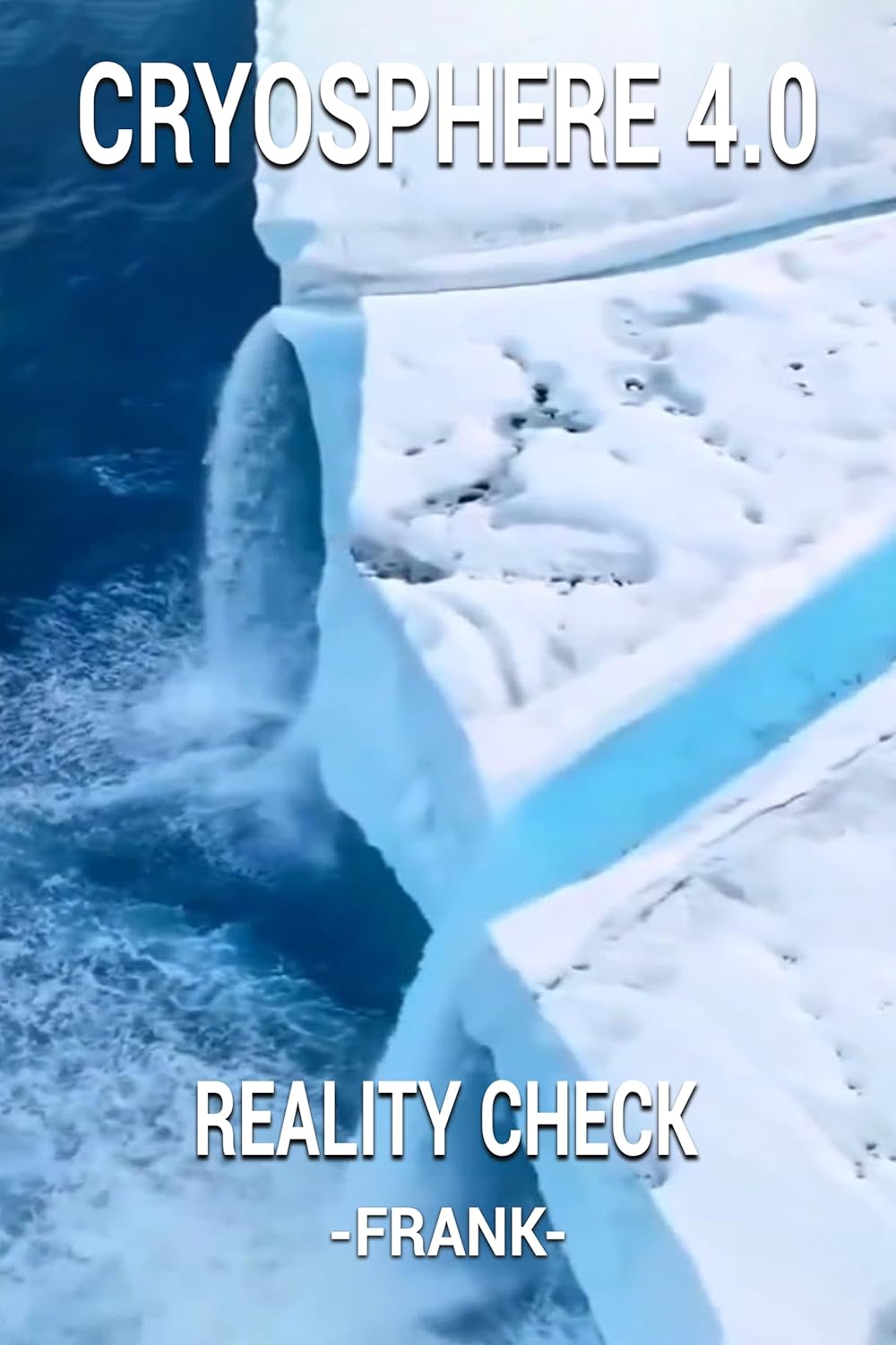 CRYOSPHERE 4.0: REALITY CHECK (REALITY CHECK - FRANK Book 8)      Kindle Edition
