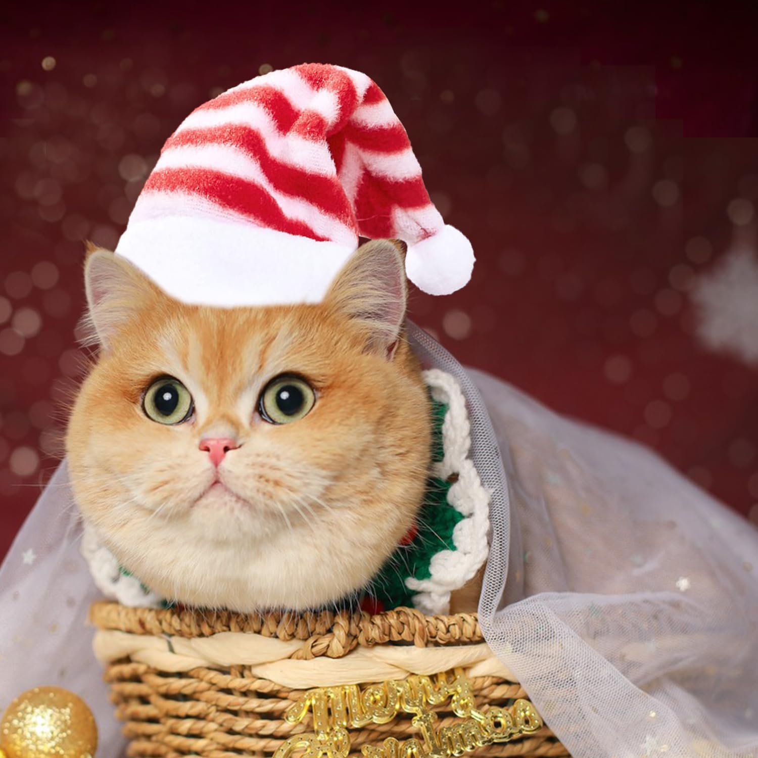 NAUZE 2Pcs Pet Santa Hat Adjustable Cat Dog Christmas Hat Xmas Pet Costume Accessories for Small Cats Dogs Christmas Party Cosplay Supplies - Image 4