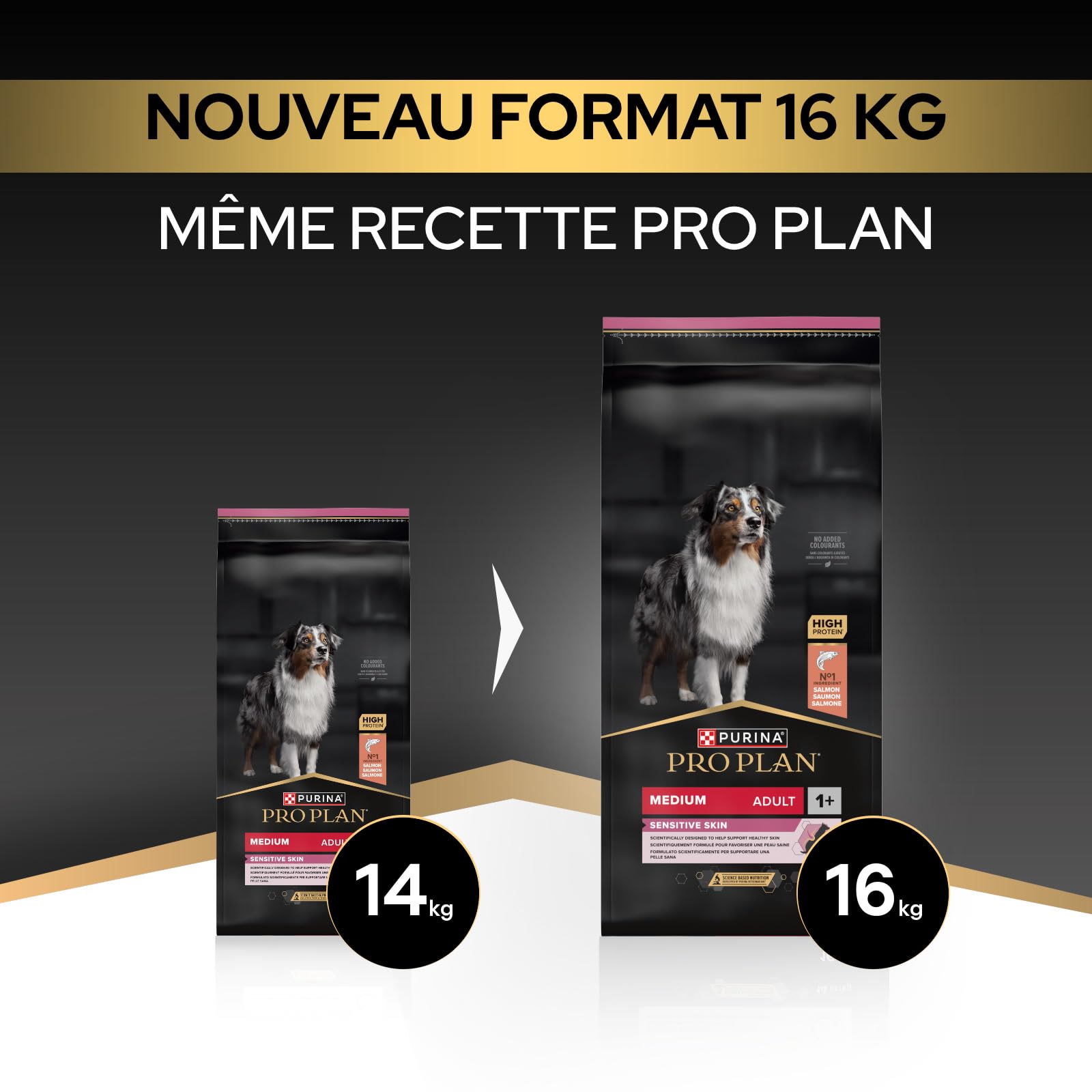 Purina Pro Plan - Sensitive Skin - Croquettes Chien Moyen Saumon - 16 kg | Croquettes Chien Moyen Peau Sensible Saveur Saumon - Pelage brillant et soutien digestif sans blé - Santé Chien