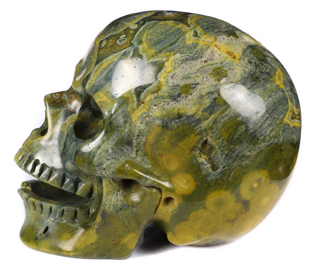 Amazon.co.jp: スカルクリスタルスカル、手彫りの宝石ファインアート