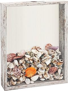 Shadow Box Seashell Collection White 11x14 Top Loading Display Case Fram...