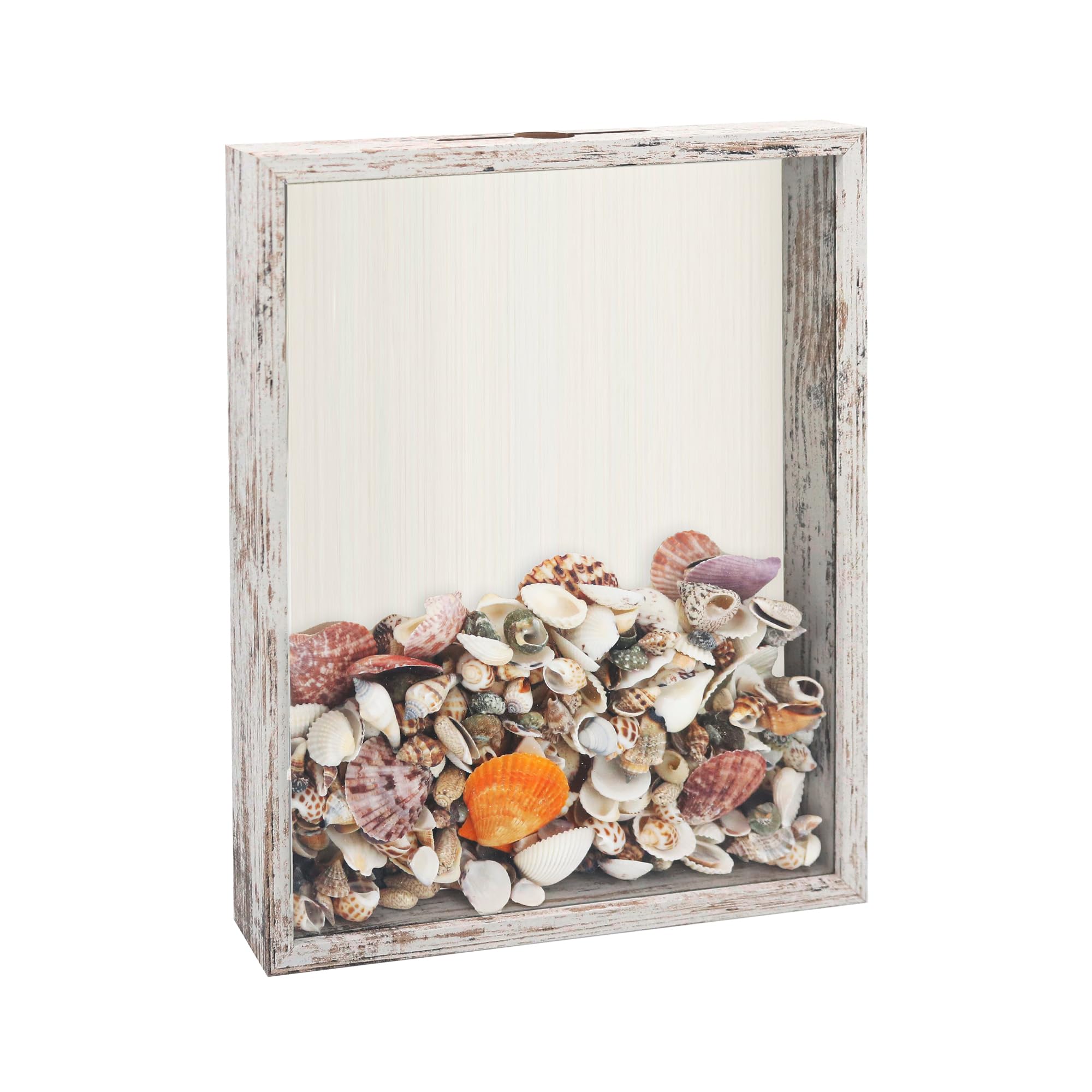 FramePro Shadow Box Seashell Collection White 11x14 Top Loading Display Case Frame with Slot, Movie Travel Sporting Events Concert Ticket Stubs Drink Beer Caps Memory Keepsake Box