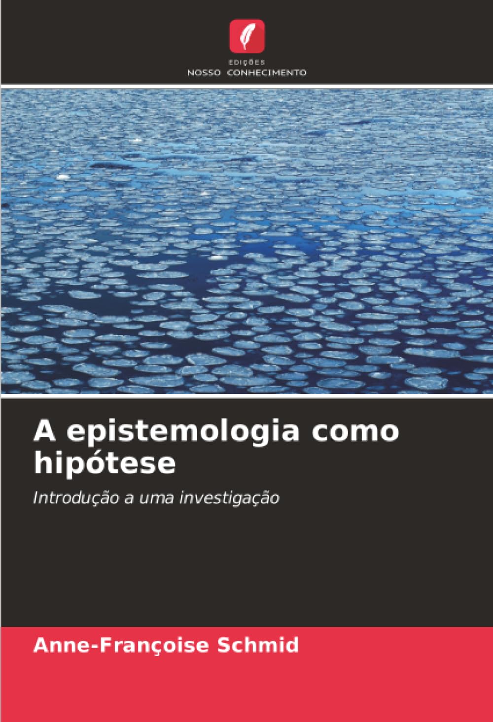 A epistemologia como hipótese: Introdução a uma investigação