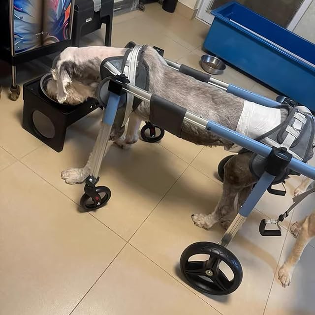 Foto 8 de 8 de Silla Ruedas Perro Carro de Recuperación para Perros con Ruedas Ajustables de 2 o 4 Pulgadas