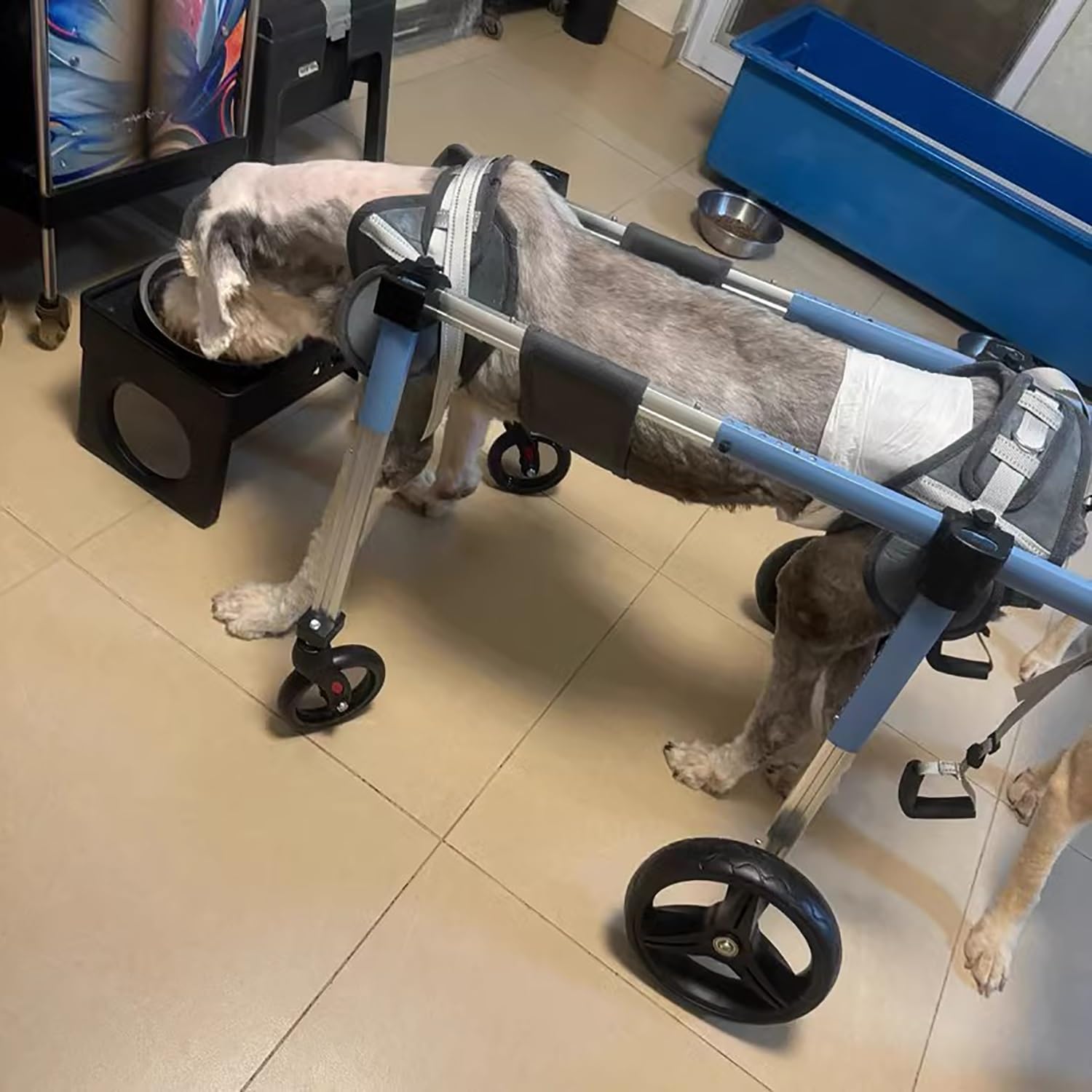 Regulowane szelki na nogi dla psa dla niepełnosprawnych psów, łatwy montaż dla labradora Shiba Inu i innych (duże)