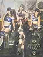 スターダム ワールド３ 写真集 Stardom world3 - 2018年発行 71S9R5V0rQL._AC_SY200_QL15_.jpg