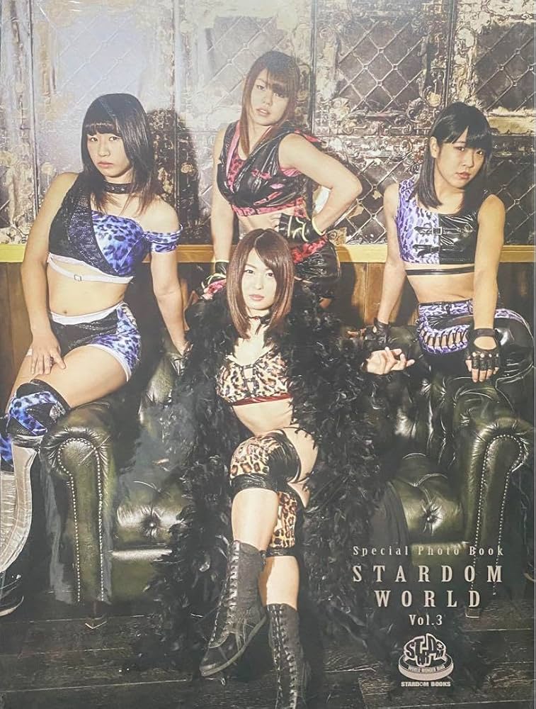 STARDOM 写真集 3点セット STARDOM 写真集 3点セット