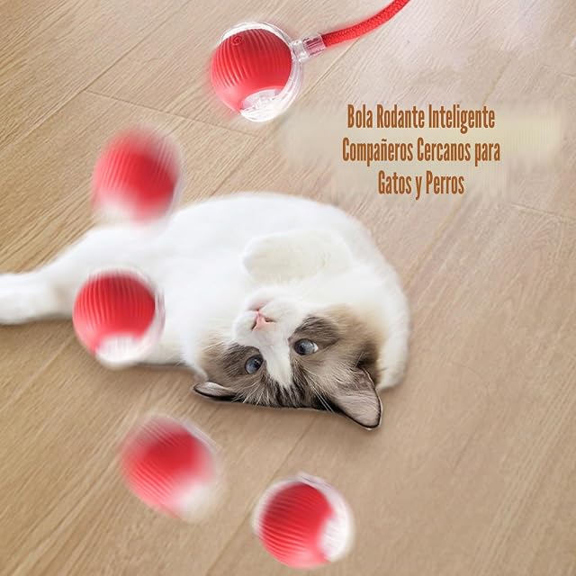 Foto 6 de 7 de YZZT Juguete interactivo para gatos Magic Ball para perros y gatos, pelota interactiva