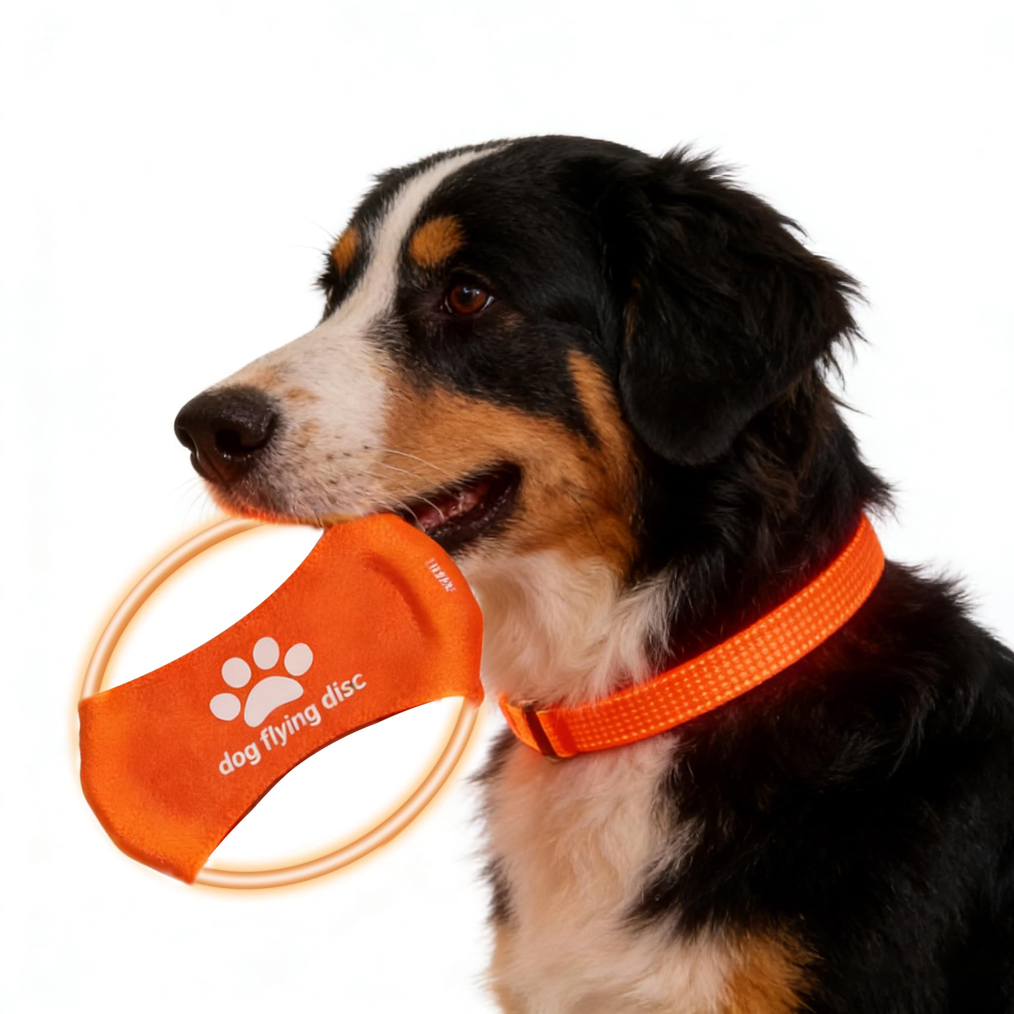 Ensemble collier lumineux pour chien et frisbee – 3 modes de couleur réglable + frisbee phosphorescent, jouet de dressage réutilisable pour chiens de petite, moyenne et grande taille