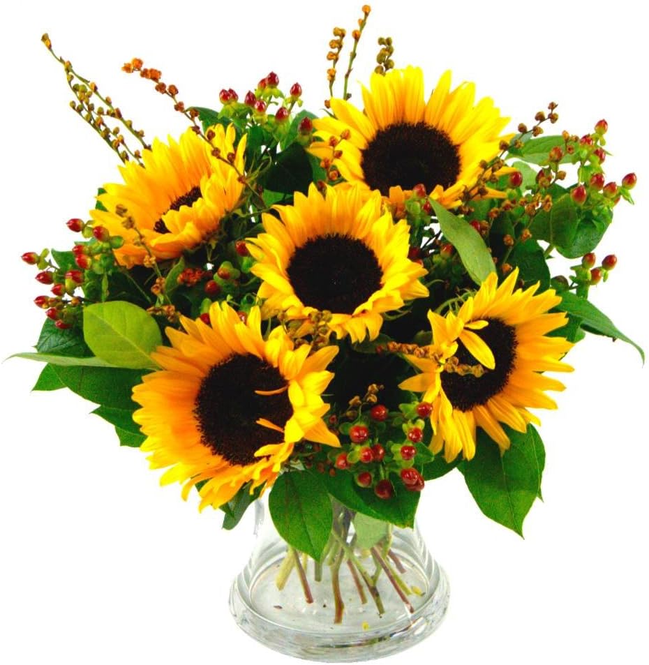 Clare Florist Radiant Sunflower Surprise Fresh Flowers Bouquet - Gorgeous Sunflowers Hand Arranged