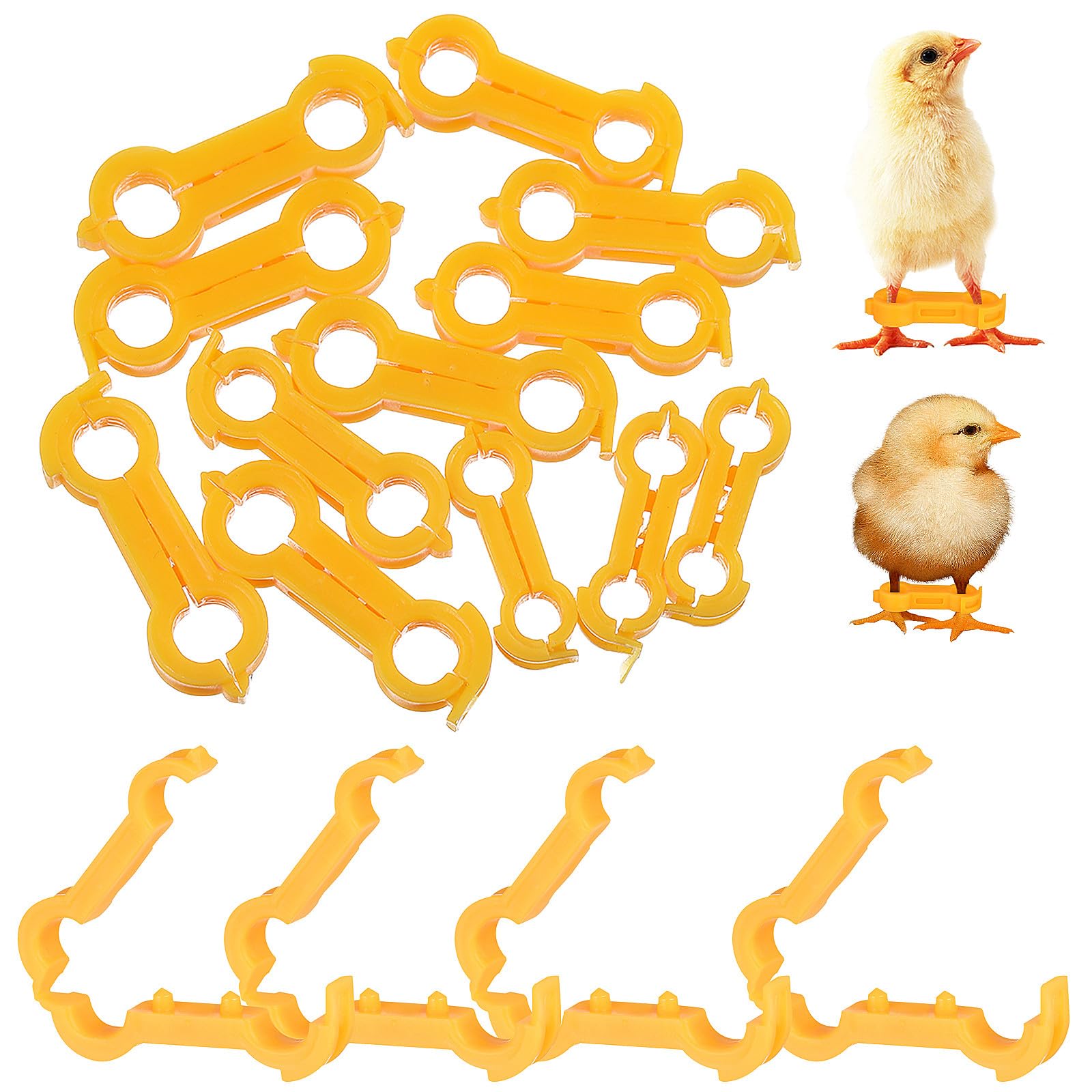 TEHAUX Bandas Correctoras para Patas de Pollitos y Aves, Anillos de PVC de Diferentes Tamaños, Sujeción Segura Crecimiento Saludable, Paquete de 12 Unidades Amarillas