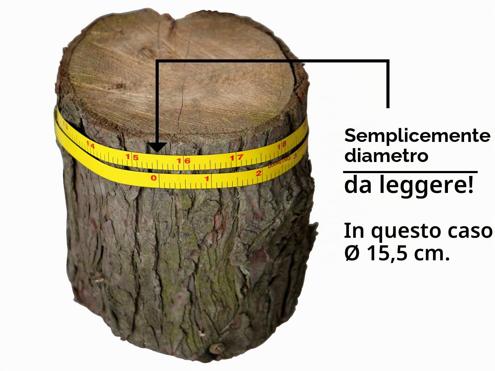 Metro a nastro Forest Sägenspezi di circa 15 metri con gancio pieghevole incluso un metro a nastro per la misurazione del diametro