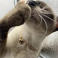 Vista 6 de HOWWFALY Collar para Perro y Cadena Collar para Gato de Acero Inoxidable Ajustable Collar en Forma de Corazón de Oro 18K para Mascotas Pequeñas