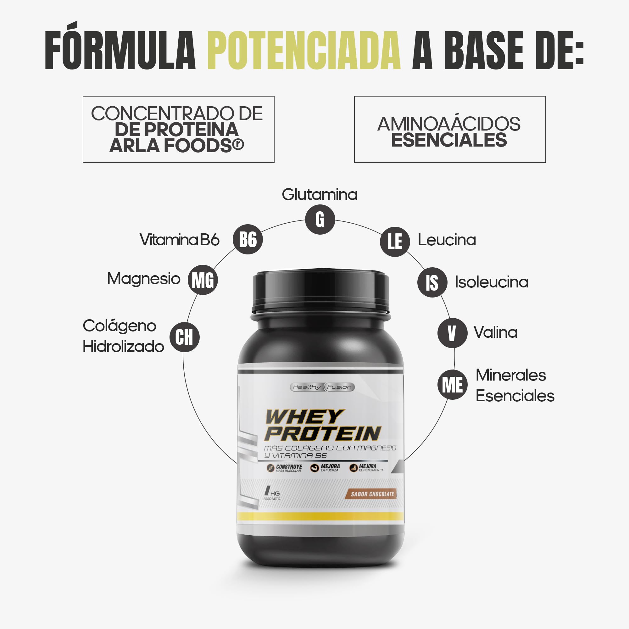 Whey Protein 1KG | 43g Proteína/dosis | Proteína en polvo, BCAA, Glutamina, Colágeno, Magnesio y Vitamina B6 | Aumenta Masa Muscular, Fuerza, Recuperación | Alta Disolución, Fácil Digestión Chocolate