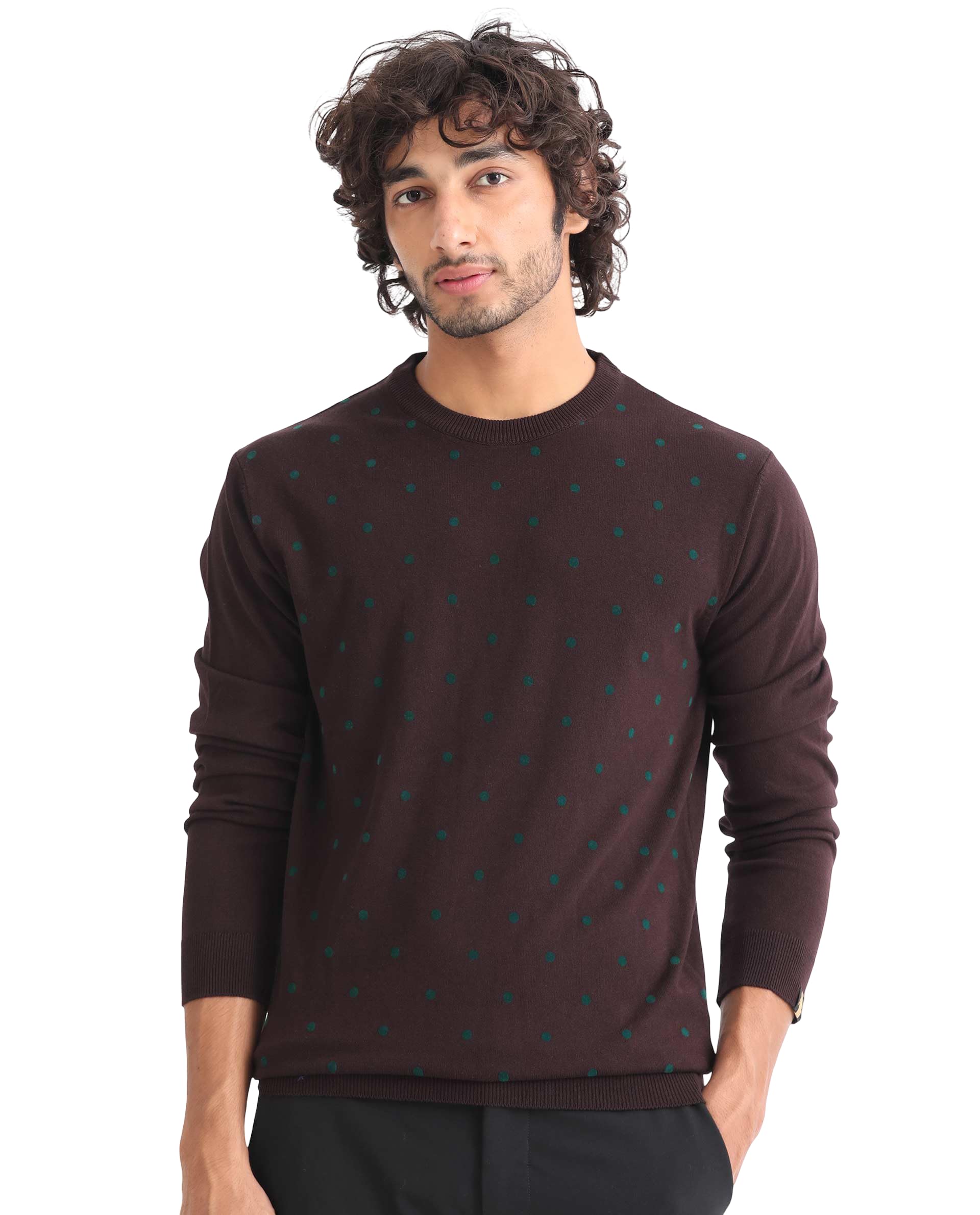 rare rabbit Men's Flock Maroon Viscose Polka Print Relaxed Fit Full Sleeve Crew Neck Sweater-picture-25