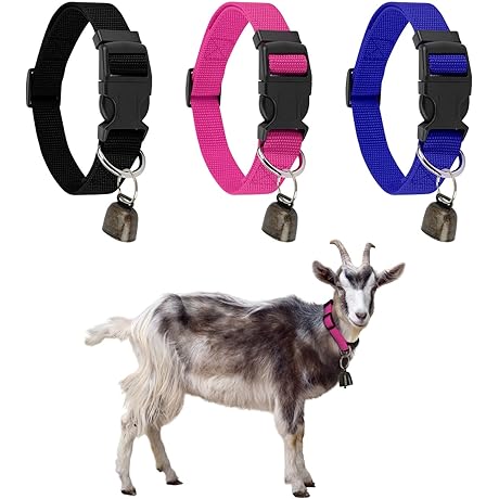 3-in-1 Goat Collars with Bell: Safety, Convenience, and Value for Your Herd