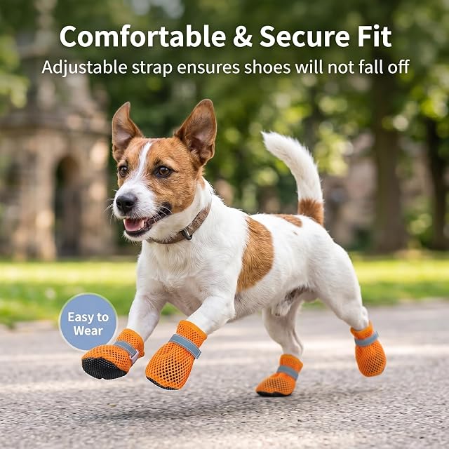 Foto 5 de 7 de LCCGZ 4 Piezas Zapatos de Malla de Verano para Perros, Zapatos Perro Pequeño Verano