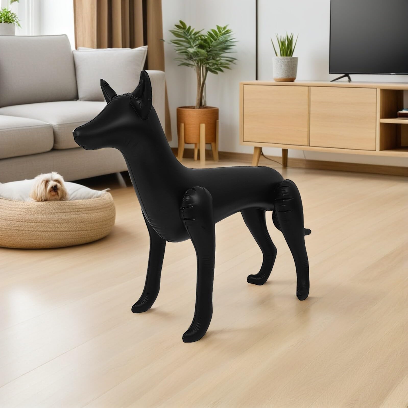Mobestech Manichino Gonfiabile per Cani 2 Pezzi in PVC Nero 018Mm Espositore per Modelli di Cani e Abbigliamento per Animali Domestici Leggero e Portatile per Negozi Feste e Vetrine