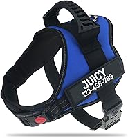 Vista 1 de Personalized No Pull Dog Harness with Custom Name and Phone Number by PawPawify, Heavy Duty Pet Vest to Prevent Tugging, Pulling, or Choking, Blue
