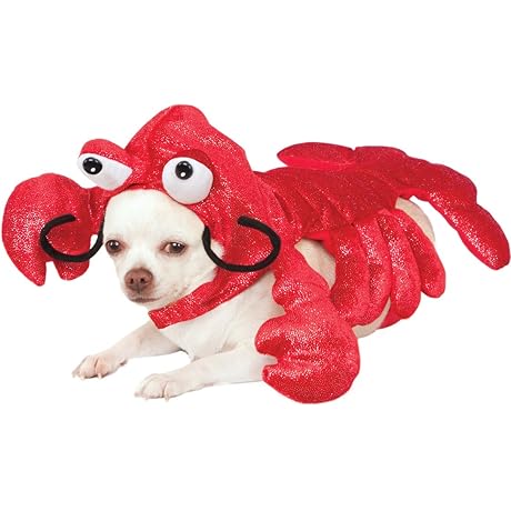 Rubie's Mr. Claws Lobster Pet Costume for Small Breed Dogs