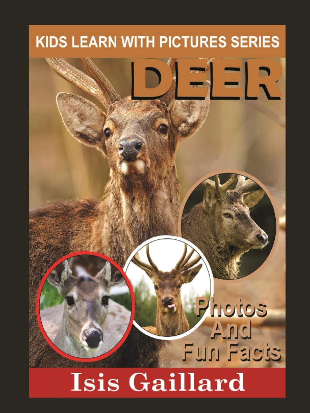 Deer: Photos and Fun Facts for Kids (Kids Learn With Pictures)