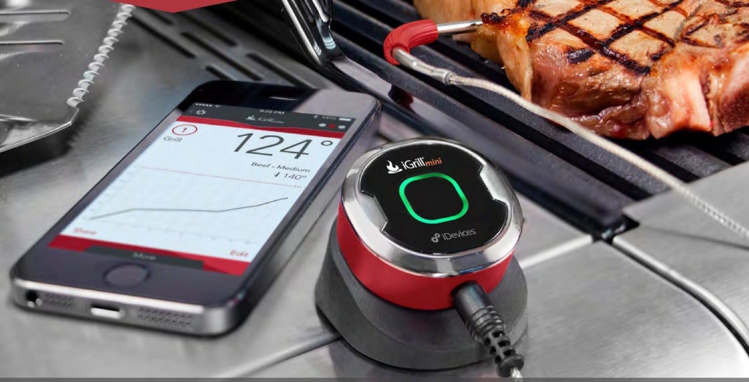 iDevices iGrill Mini